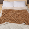 China 100% Polyester Bedroom Throws 50x60 Double Layer Winter Pv Sherpa Fleece Blanket Supplier
